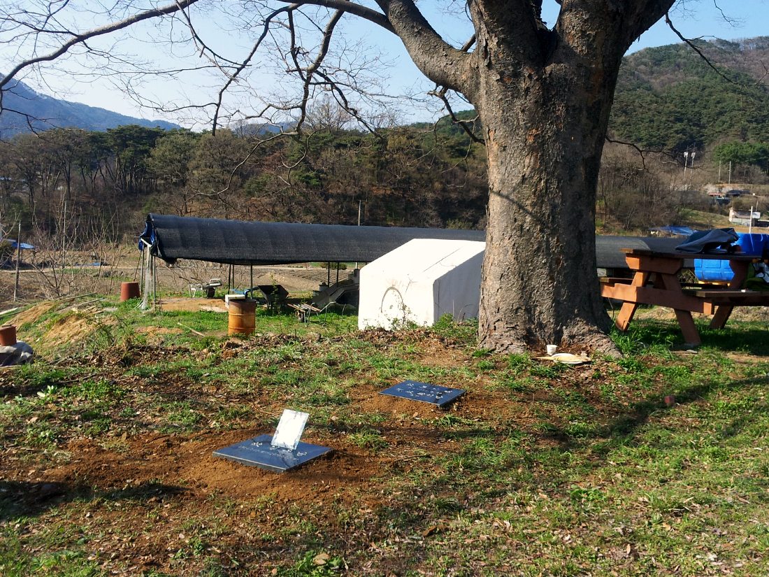 수목장형 평장.jpg