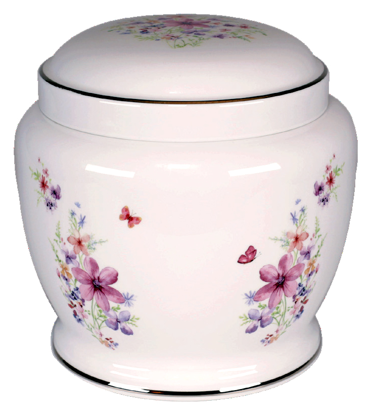 본14호 피오레트로피-W27034.jpg