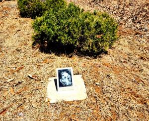 개인선산 반려동물 수목장