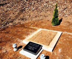 충청북도 청주시 개인 선영 수목장 공사