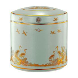 3중루미나소라 T16527