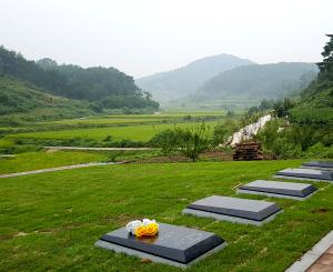 맞춤형제작 가족평장