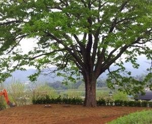개인수목장 평장 설치