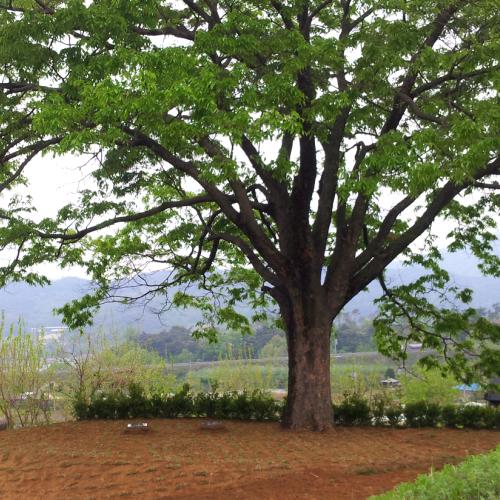 개인수목장 평장 설치