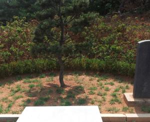 개인 가족수목장