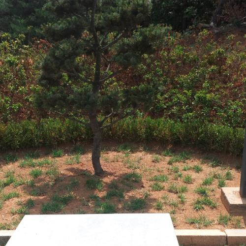 개인 가족수목장