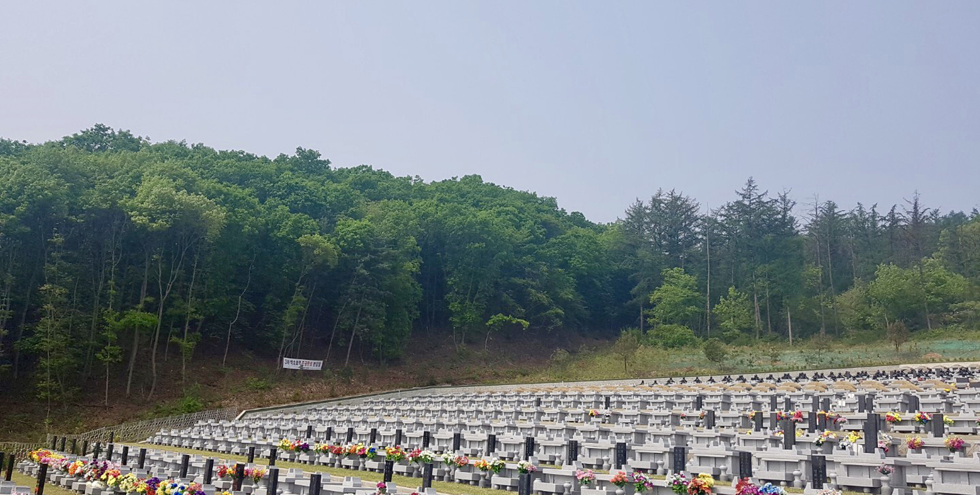 평장묘조성ㆍ납골묘설치