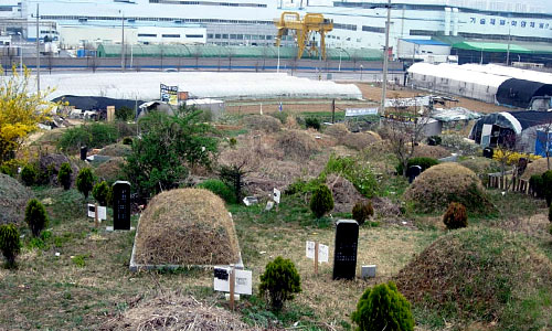 지자체 분묘일제 조사 후 무연분묘