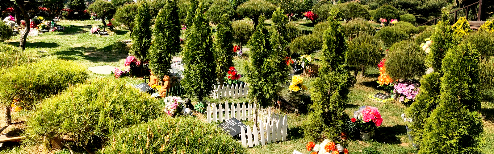 문중수목장조성